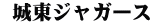  城東ジャガース