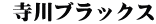  寺川ブラックス