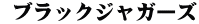  ブラックジャガーズ