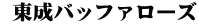  東成バッファローズ
