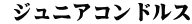  ジュニアコンドルス