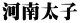 河南太子 